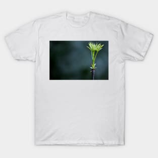 Spring Has Sprung T-Shirt